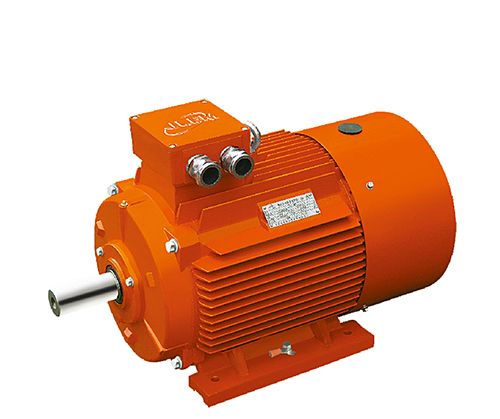 JM1.(GB3 、IE2)鑄鐵高效節(jié)能電機(jī)
