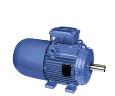 江蘇省生產(chǎn)高效節(jié)能電機(jī)進(jìn)口品牌電機(jī)廠商？