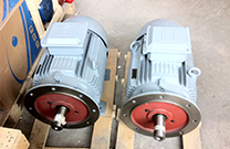 街道舉辦高效節(jié)能電機(jī)推廣會(huì)，催化高效電機(jī)發(fā)展應(yīng)用