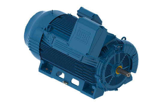 高壓電機(jī)有哪些電氣保護(hù)措施？