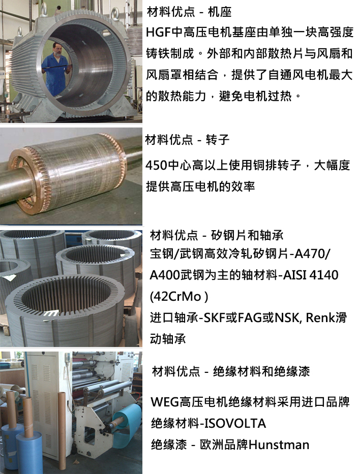 WEG高壓電機材料優(yōu)勢