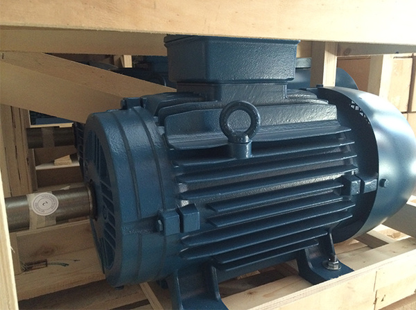 WEG(IE4)高效節(jié)能電機(jī) WEG(IE4)高效節(jié)能電機(jī)